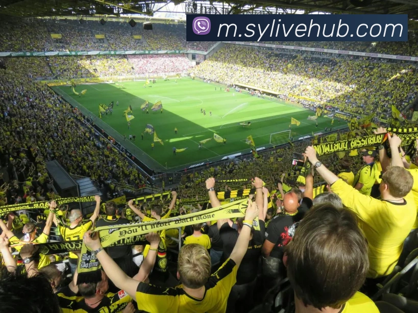 双赢娱乐发展历程